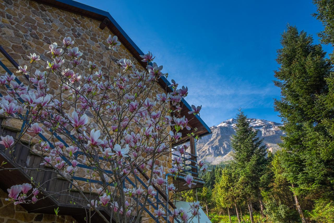 Orizontes Tzoumerkon Hotel Resort Pramanta Exterior foto